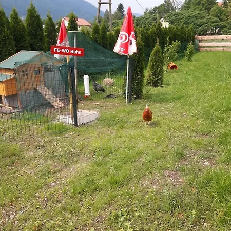 Silja Steindorf am Ossiacher See