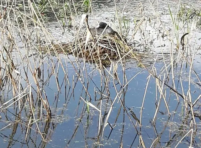 Semesterbostad Silja